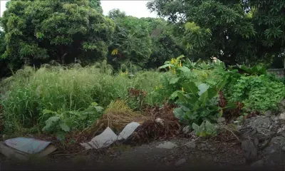 Hennessy Avenue, Quatre-Bornes: des citadins veulent transformer un terrain vague en parking