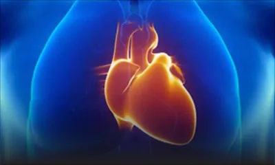 Selon une étude internationale faite à Maurice : la criminalité liée au rythme cardiaque