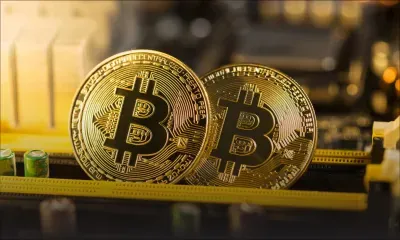 Newsletter du DPP : la réglementation de l’argent électronique en question 