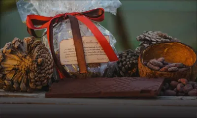 Production locale : du chocolat «bio» bientôt sur le marché