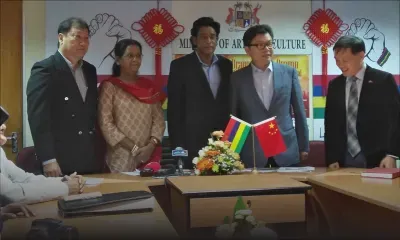 Le Dragon Boat Festival au Caudan Waterfront