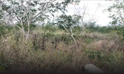 Vingt hectares de terres agricoles occupées illégalement
