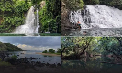 Restauration des Écosystèmes : ces lieux sauvés par les amoureux de la nature