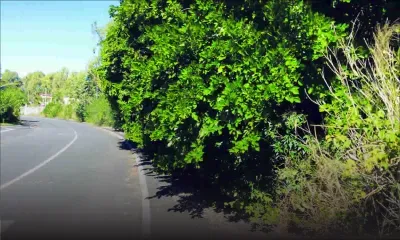 Entretien: le morcellement Ebène City négligé