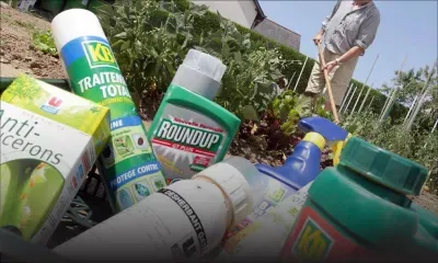 Pesticides : deux kilos de poison dans le corps de chaque Mauricien