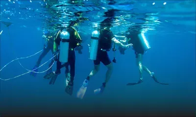Découverte : l’art de la plongée chez Beachcomber