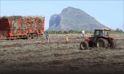 Devises : les opérateurs attendent une annonce favorable sur la roupie