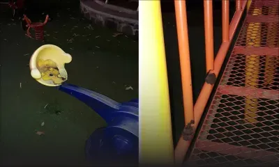 À Quatre-Bornes : le jardin d’enfants de la municipalité en piteux état