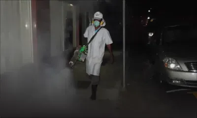 Maladie transmise par les moustiques : neuf cas de dengue détectés à Vallée-des-Prêtres