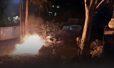 Rue Lepneveu: Trois arbres et les eaux usées importunent