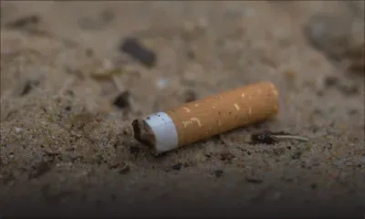 Rattrapé par son passé après avoir jeté un mégot dans la rue il y a cinq ans 