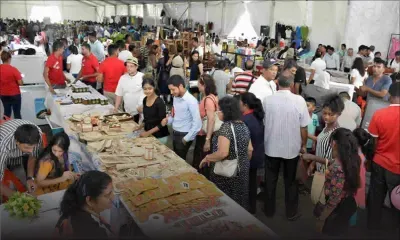 Étude de VERDE : 9.328 PME ont plié bagage en cinq ans