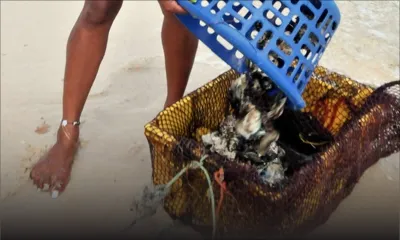 Faux projet d’élevage d’huîtres : le faux cuisinier chinois lui soutire Rs 3M