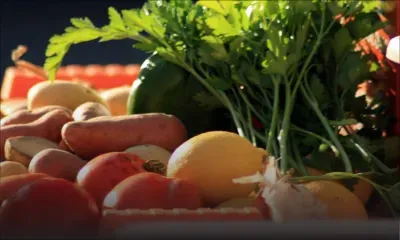 Salmonellose : risque de légumes contaminés si la fiente de poule est utilisée comme engrais, selon un officier du FAREI