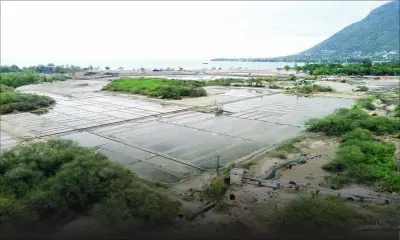 Rivière Noire : disparition des dernières pépites de l’Ouest