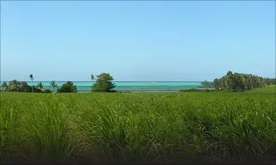 Smart City de Roches-Noires : Rs 2,2 milliards de dettes et une nouvelle mise sous administration judiciaire