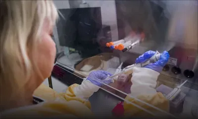 Le bilan de la pandémie de Covid-19