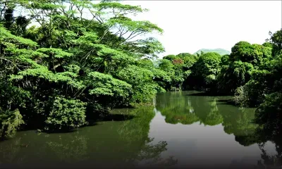 En allant faire ses prières : une femme de 58 ans périt noyée