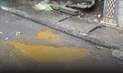 Vallée-des-Prêtres : quand le service de voirie laisse à désirer