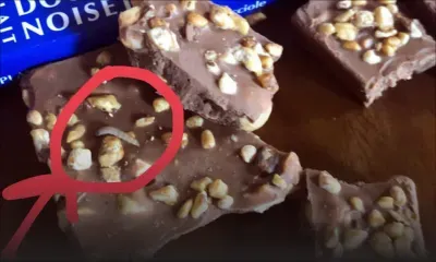 Mauvaise surprise : un asticot dans une tablette de chocolat !