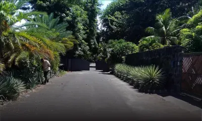 Royal Palm : des Beach Hawkers mécontents des nouvelles dispositions de parking