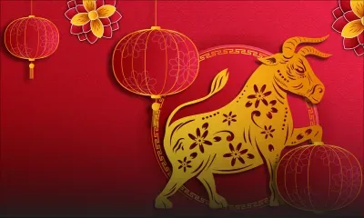 L’année du buffle/bœuf : Synonyme de renouvellement et de rétablissement