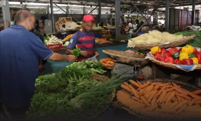 La sécheresse pèse sur les légumes