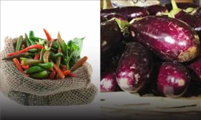 Au marché : la bringelle à Rs 100, le petit piment à Rs 400 le demi-kilo