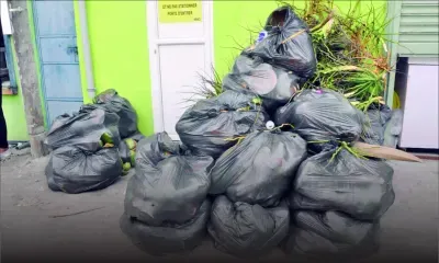 Port-Louis : les éboueurs refusent de ramasser ses ordures