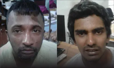 Vol avec violence : pris en chasse, ils heurtent un arbre 