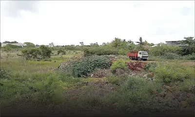 Marécages : peu de considération pour ces zones que nous connaissons à peine 
