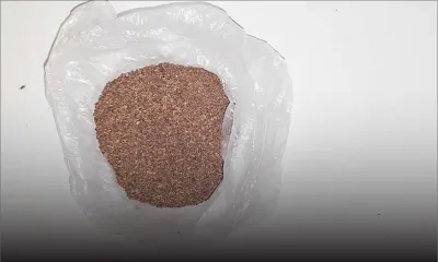 Plaisance : de la drogue d’une valeur de Rs 6 M saisie