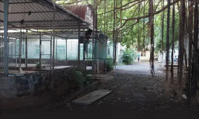 Saisie de 446 singes : Shafeek Jhummun adresse une mise en demeure à l’Agro-industrie