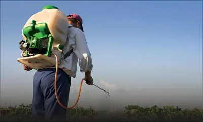 Agriculture : un pesticide, interdit en Europe, utilisé à Maurice