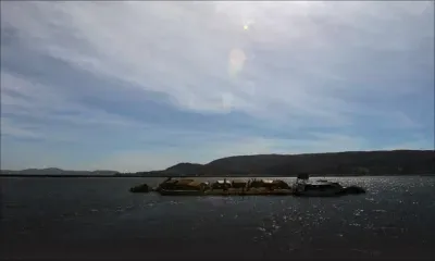 Les restes d'un requin de 400 millions d'années découverts au Pérou