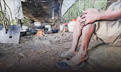 L’homme qui vit dans la forêt 