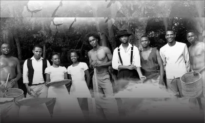 Festival Rasinn : retour aux sources