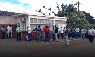 Eid Ul-Adha : il manque 2000 bœufs pour le qurbani