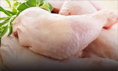 Poulet : peut-on s’attendre à une baisse de prix ?