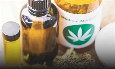 Cannabis médicinal : les premiers dossiers étudiés ce jeudi