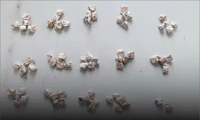 Trafic de drogue : un adolescent de 16 ans arrêté par la Flying Squad