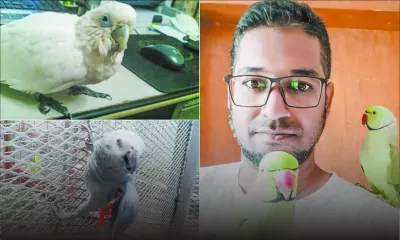 Ismaïl Abdool : l’homme qui murmure à l’oreille des oiseaux