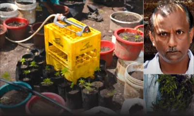 Rs 2,5 millions de gandia saisi