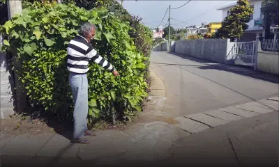 Sakeena Dilmohamed, 79 ans, tuée en revenant du dispensaire