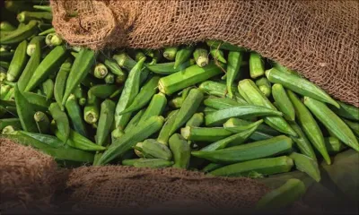 Au marché : le demi-kilo lalo à Rs 150