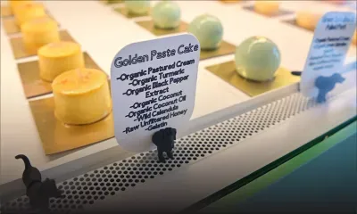 A San Francisco, un chef ouvre une "patte-tisserie" pour chiens