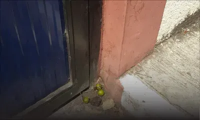 Insolite : un «système limon» à l'extérieur de l'école primaire Rajiv Gandhi à Flacq