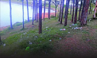 Incivisme : quand La Nicolière prend des allures de dépotoir