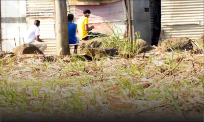 Rajeunissement et féminisation de la toxicomanie - Les synthétiques : la drogue des pauvres