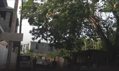 Danger public à Terre-Rouge